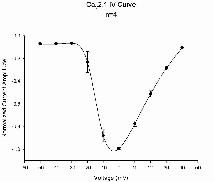 CaV2.1 - Cell Line Calcium