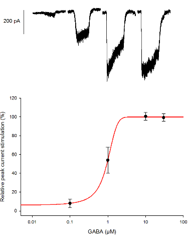 GABAA α6β3δ - Cell Line GABAA