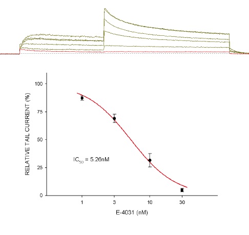 KV11.1 (hERG DUO) - Cell Line Potassium