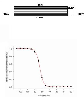 NaV1.5 - Cell Line Sodium