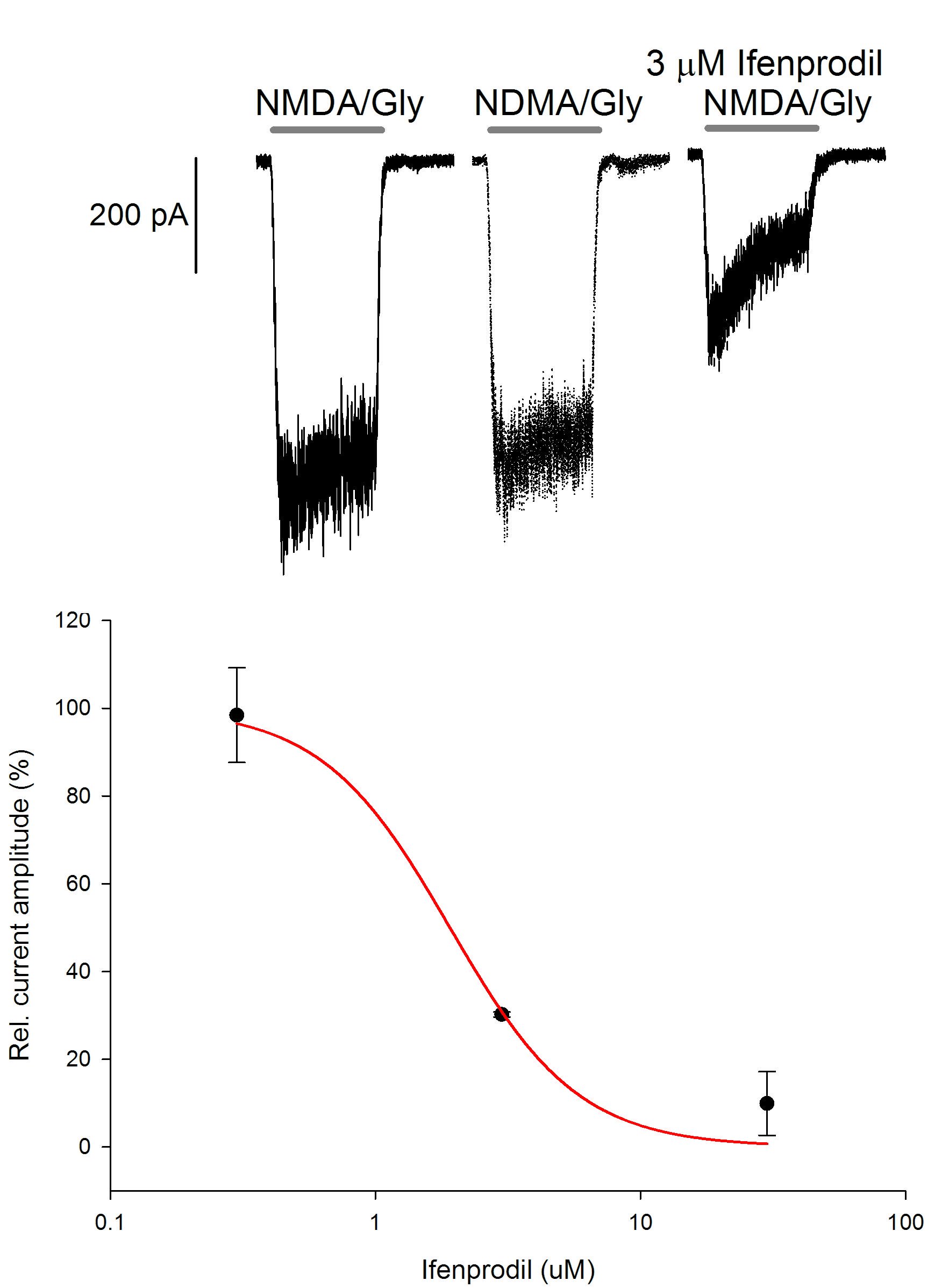 NMDA (NR1 / 2B) - Cell Line Glutamate